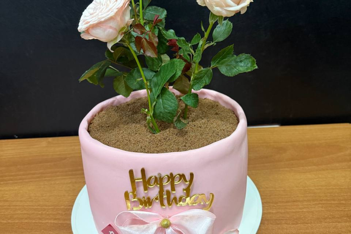 Ծննդյան տորթ